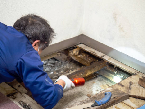 Water Damage Restoration in Ellensburg, WA