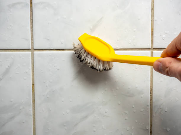  Ellensburg, WA Mold Removal Pros