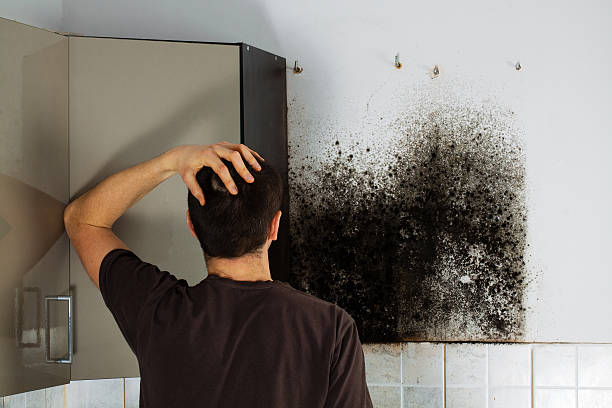Best Emergency Mold Removal  in Ellensburg, WA